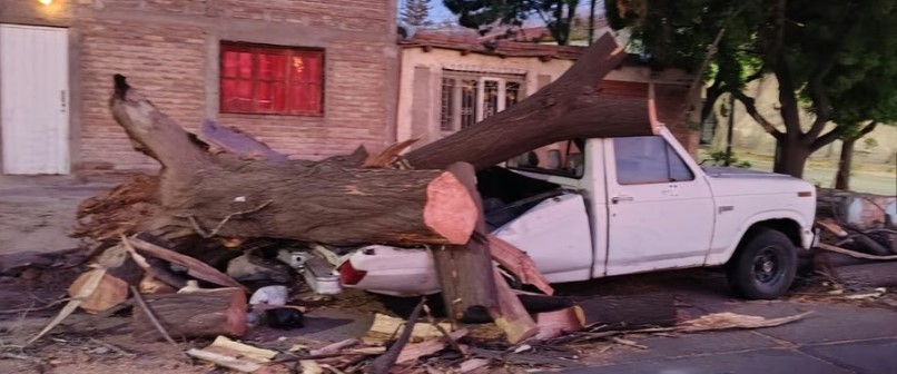 Mendoza registra 241 incidentes por Zonda en fin de semana - imagen adicional