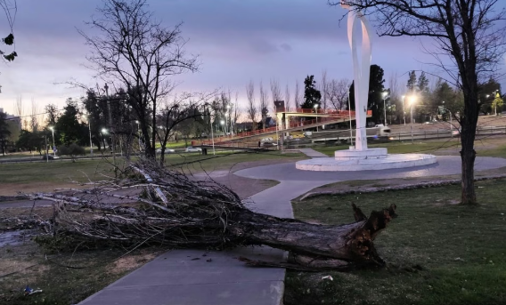 Zonda deja 70 incidentes en Mendoza: árboles caídos e incendios