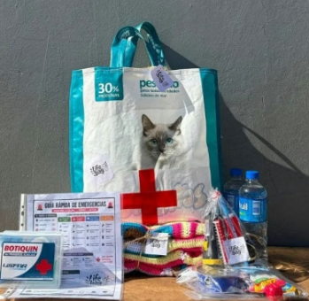 Estudiantes tunuyanas crean kit de emergencia para afrontar sismos
