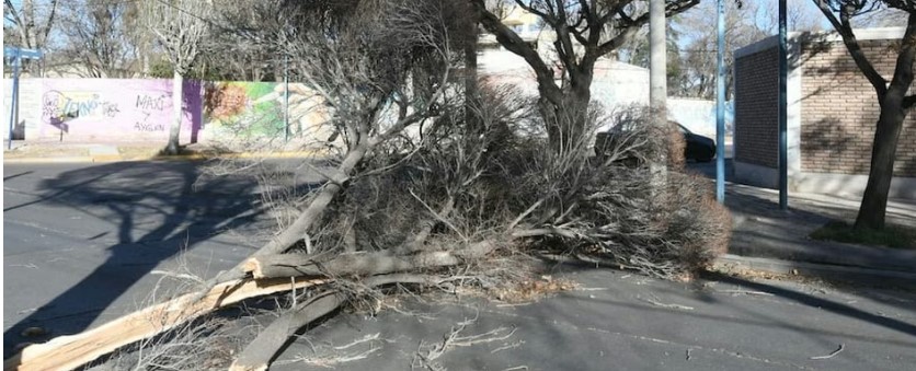 El Zonda azotó Mendoza con casi 200 incidentes en toda la provincia - imagen adicional