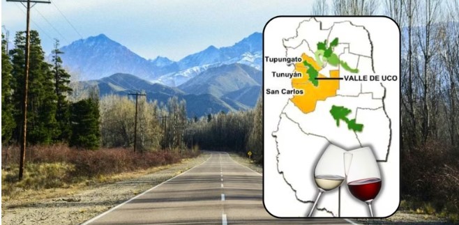 Los secretos naturales que hacen único al vino del Valle de Uco - imagen adicional