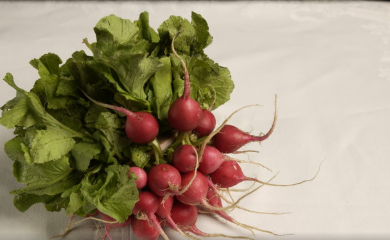 Qué verduras sembrar en octubre para cosechar en pocas semanas - imagen adicional