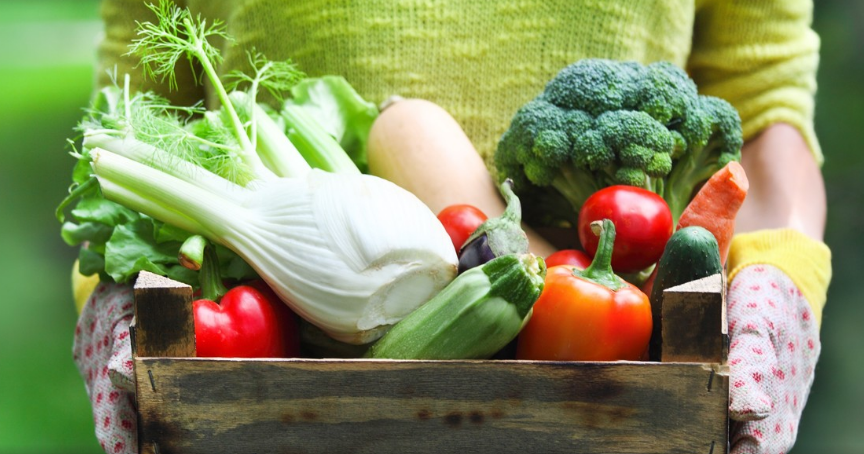 Qué verduras sembrar en octubre para cosechar en pocas semanas