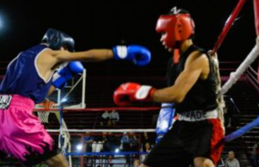 Más de 15 peleas amateurs llenarán el Polideportivo de Tunuyán - imagen adicional