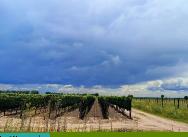 Lluvia persistente en el Valle de Uco durante dos semanas más - imagen adicional