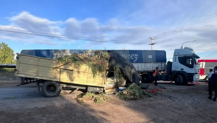 Choque entre dos camiones en Ruta 33 dejó un herido en Maipú