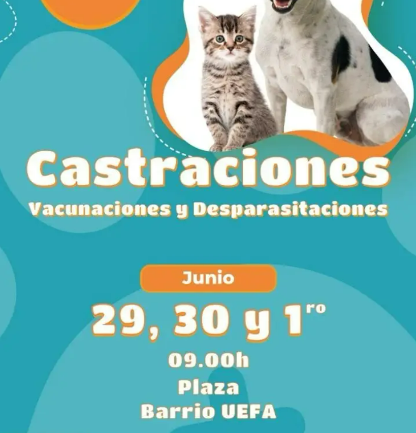 Veterinaria Móvil llega a Tunuyán con castración y vacunación