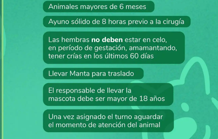 Quirófano Móvil llega a Tupungato con cronograma de atenciones - imagen adicional
