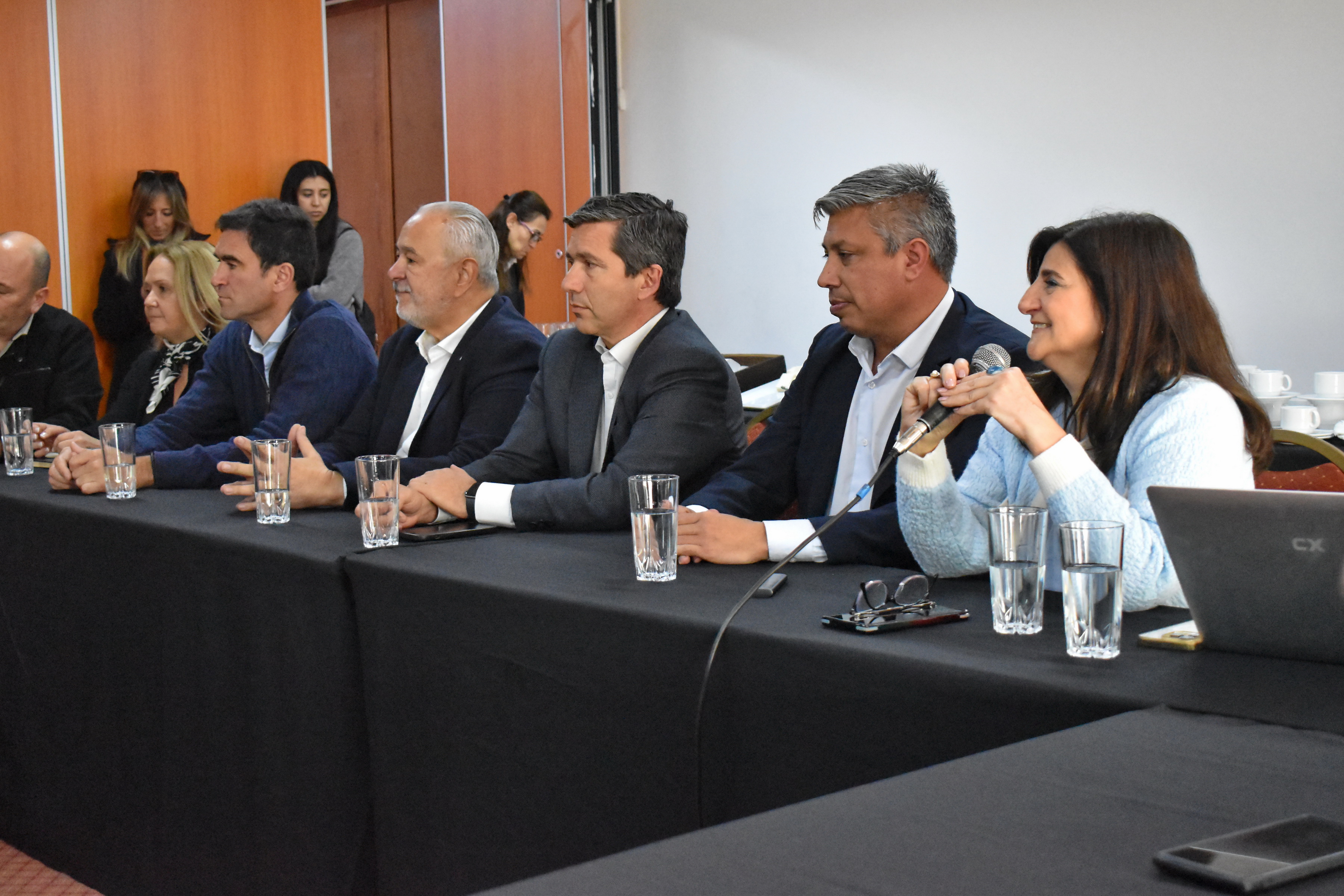 Valle de Uco integra sus cámaras de turismo al consejo provincial - imagen adicional