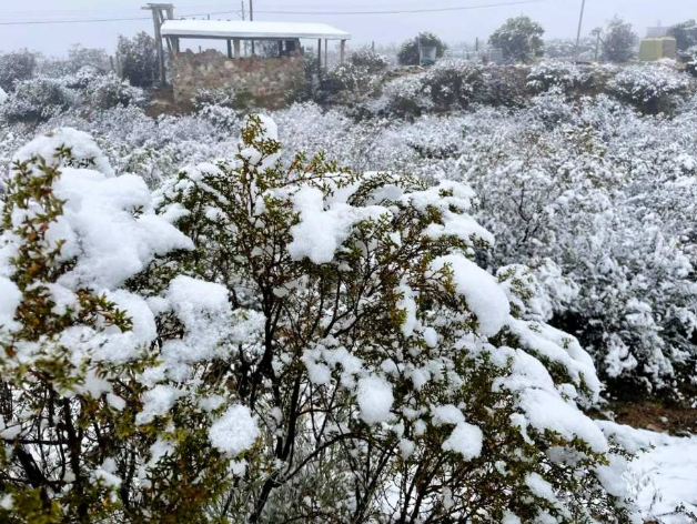Suspenden clases presenciales en Malargüe, Tupungato y Tunuyán por alerta meteorológica - imagen adicional
