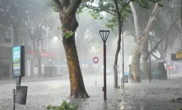 Alerta naranja por nevadas y vientos de 110 km/h en Mendoza - imagen adicional