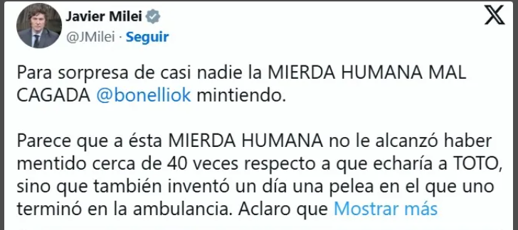 Los insultos de Milei como estrategia de distracción política - imagen adicional