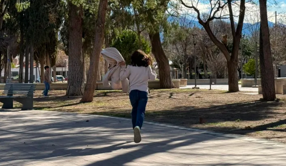 Viento Zonda en Mendoza: suspenden clases en varios departamentos - imagen adicional