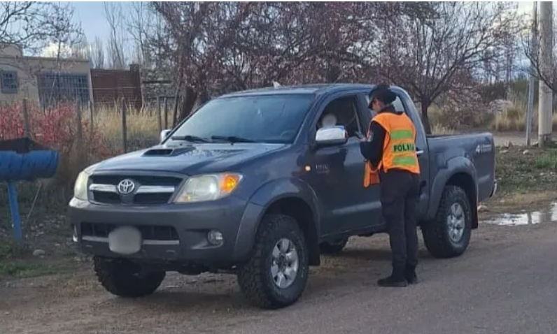 Drones policiales clave para capturar cuatro agresores en Tunuyán - imagen adicional