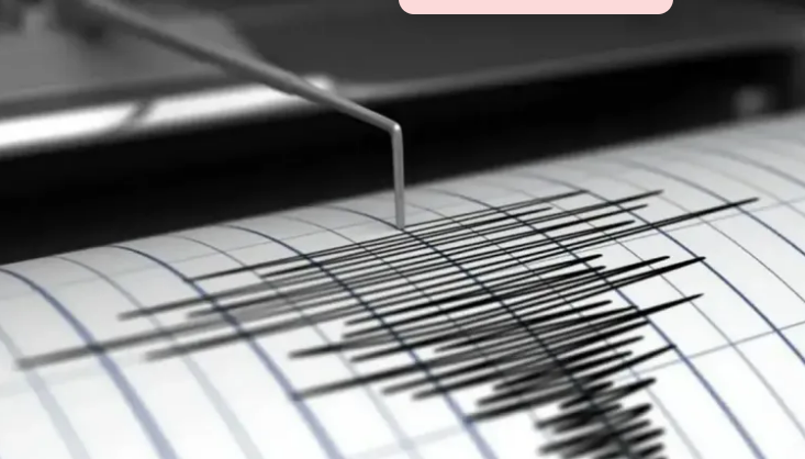 Sismo de magnitud 5 en el Pacífico se sintió en Mendoza y San Juan