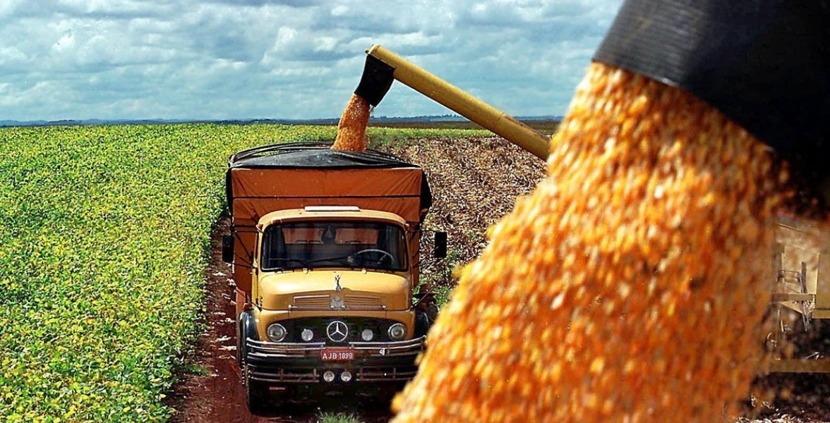 El campo liquidó 2750 millones de dólares en exportaciones durante agosto