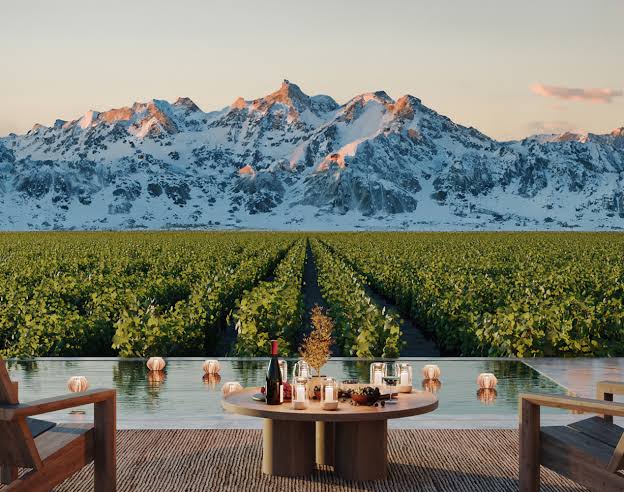 Mendoza presenta su oferta premium en Buenos Aires para captar turismo de lujo