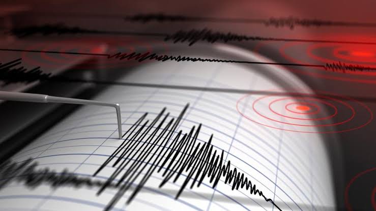 Sismo de 3,6 grados sacudió Mendoza esta mañana sin daños - imagen adicional