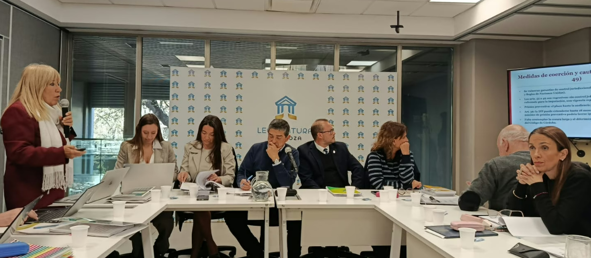 Jueces de menores presentan sus observaciones sobre la nueva ley penal juvenil - imagen adicional