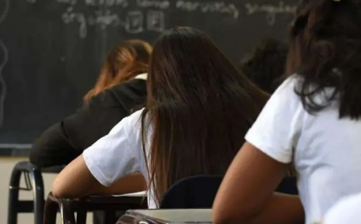 Mendoza retrocedió en las tres áreas de las pruebas PISA 2025 - imagen adicional